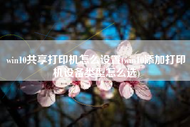 win10共享打印机怎么设置(win10添加打印机设备类型怎么选)