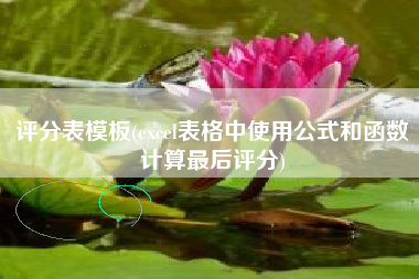 评分表模板(excel表格中使用公式和函数计算最后评分)