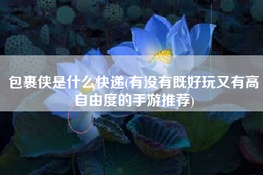 包裹侠是什么快递(有没有既好玩又有高自由度的手游推荐)