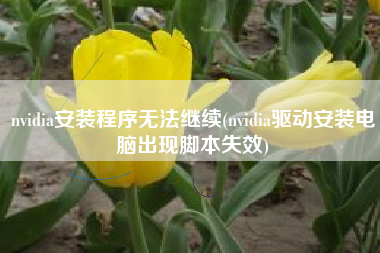 nvidia安装程序无法继续(nvidia驱动安装电脑出现脚本失效)