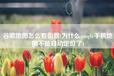 谷歌地图怎么看街景(为什么google手机地图不能自动定位了)