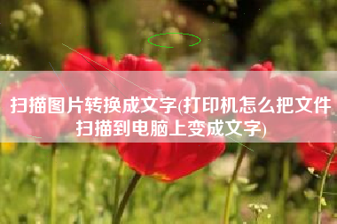 扫描图片转换成文字(打印机怎么把文件扫描到电脑上变成文字)