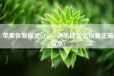 苹果恢复模式(iPhone演示机怎么恢复正常版本)