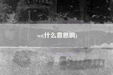ws(什么意思啊)