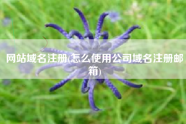 网站域名注册(怎么使用公司域名注册邮箱)
