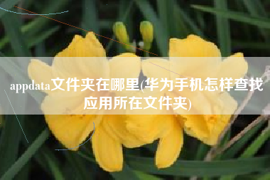 appdata文件夹在哪里(华为手机怎样查找应用所在文件夹)