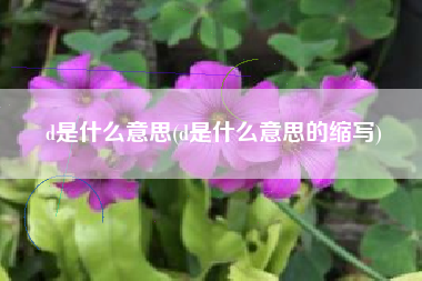 d是什么意思(d是什么意思的缩写)