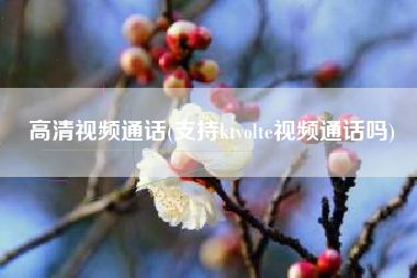高清视频通话(支持ktvolte视频通话吗)