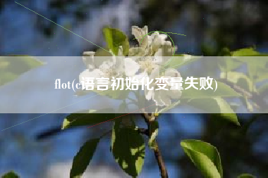 flot(c语言初始化变量失败)