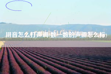 拼音怎么打声调(数一数的声调怎么标)