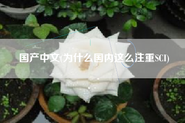 国产中文(为什么国内这么注重SCI)