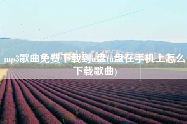 mp3歌曲免费下载到u盘(u盘在手机上怎么下载歌曲)