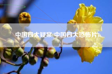 中国四大疑案(中国四大恐怖片)