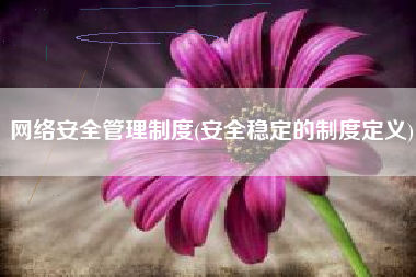 网络安全管理制度(安全稳定的制度定义)