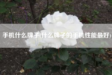手机什么牌子(什么牌子的手机性能最好)