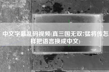 中文字幕乱码视频(真三国无双7猛将传怎样把语言换成中文)