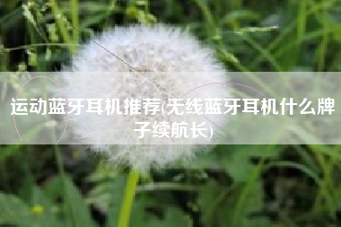 运动蓝牙耳机推荐(无线蓝牙耳机什么牌子续航长)