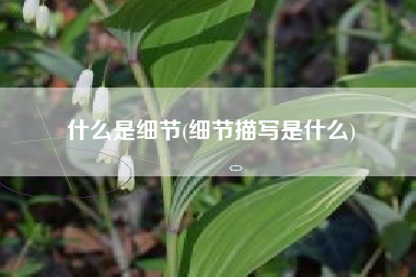 什么是细节(细节描写是什么)