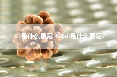 my是什么意思(MyGril是什么意思)