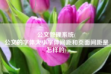 公文管理系统(
公文的字体大小字体间距和页面间距是怎样的) 公文管理系统(
公文的字体大小字体间距和页面间距是怎样的)