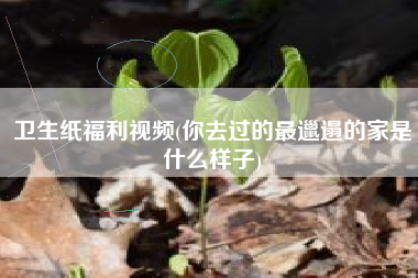 卫生纸福利视频(你去过的最邋遢的家是什么样子)