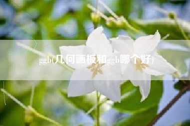 ggb(几何画板和ggb哪个好)