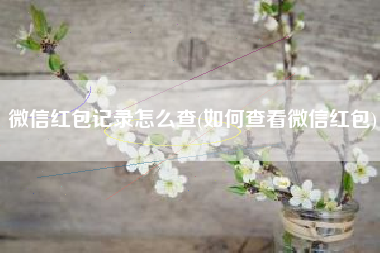 微信红包记录怎么查(如何查看微信红包)