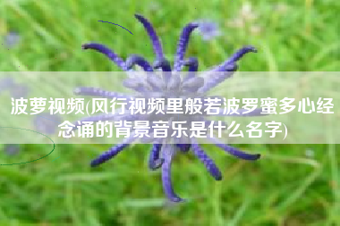 波萝视频(风行视频里般若波罗蜜多心经念诵的背景音乐是什么名字)