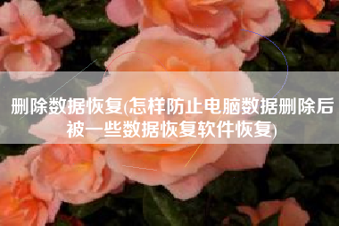 删除数据恢复(怎样防止电脑数据删除后被一些数据恢复软件恢复)