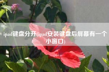 ipad键盘分开(ipad安装键盘后屏幕有一个小窗口)