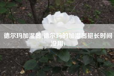 德尔玛加湿器(德尔玛的加湿器挺长时间没用)
