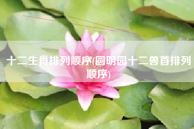 十二生肖排列顺序(圆明园十二兽首排列顺序)