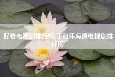 好看电视剧排行榜(于和伟海清电视剧排行榜)