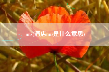 nns(酒店nns是什么意思)
