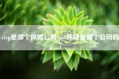 cicp是哪个保险公司(ppc保险是哪个公司的)