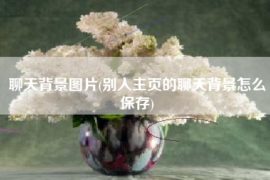 聊天背景图片(别人主页的聊天背景怎么保存)