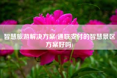 智慧旅游解决方案(通联支付的智慧景区方案好吗)