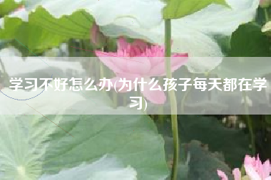 学习不好怎么办(为什么孩子每天都在学习)