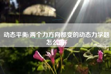 动态平衡(两个力方向都变的动态力学题怎么做)