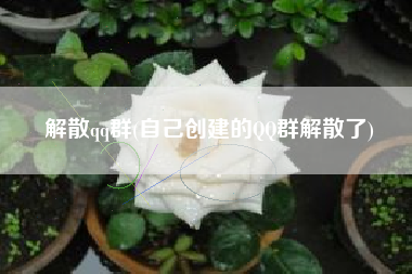 解散qq群(自己创建的QQ群解散了)