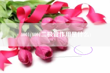 4001(4001二极管作用是什么)