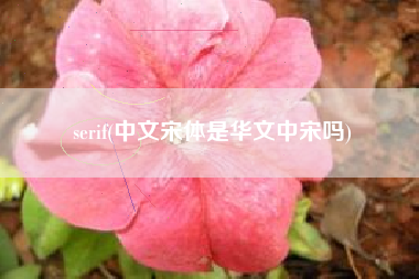 serif(中文宋体是华文中宋吗)