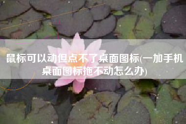 鼠标可以动但点不了桌面图标(一加手机桌面图标拖不动怎么办)