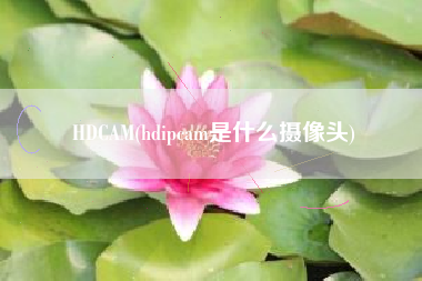 HDCAM(hdipcam是什么摄像头)