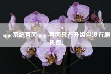 oppo系统官网(oppo官网只有升级包没有刷机包)