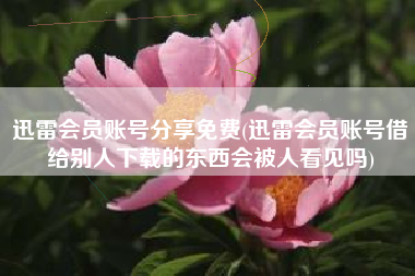 迅雷会员账号分享免费(迅雷会员账号借给别人下载的东西会被人看见吗)