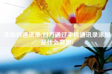 添加到通讯录(对方通过手机通讯录添加是什么意思)