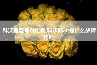 科沃斯型号对比表(科沃斯e42是什么故障代码)
