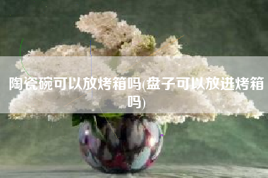 陶瓷碗可以放烤箱吗(盘子可以放进烤箱吗)