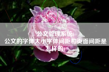 公文管理系统(
公文的字体大小字体间距和页面间距是怎样的) 公文管理系统(
公文的字体大小字体间距和页面间距是怎样的)
